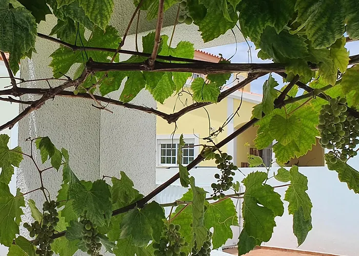 Encantadora Amoreira, Perto Obidos O Refugio Perfeito